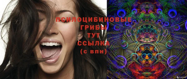 прущая мука Козельск