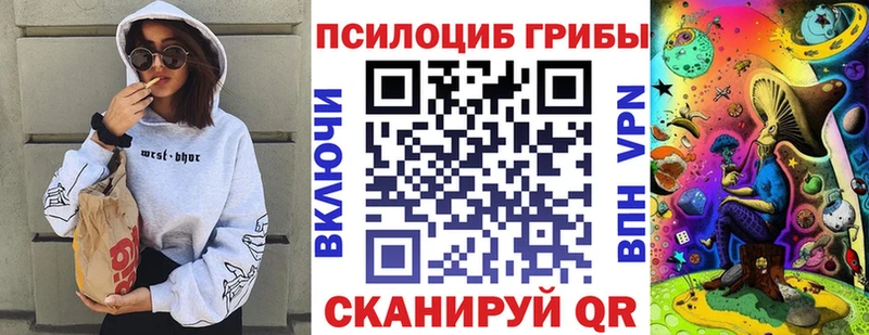 купить наркотик  Спас-Клепики  Галлюциногенные грибы Psilocybe 